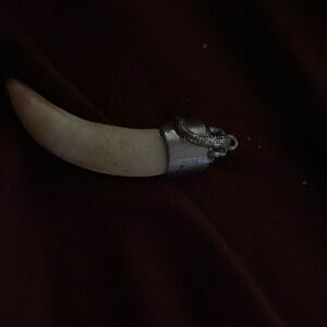 Authentic extra large gator tooth keychain